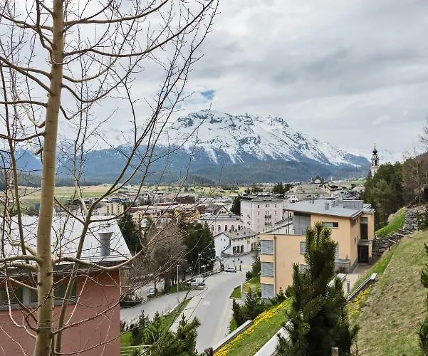 Chesa Crush 2 - Samedan