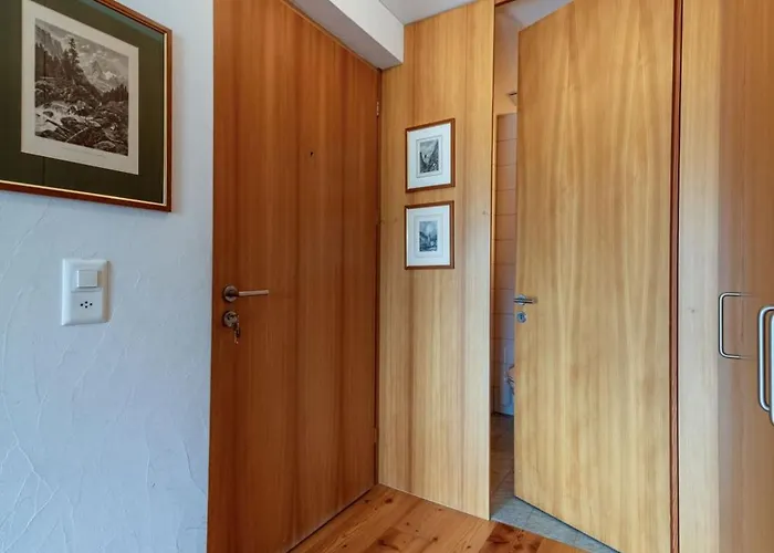 Chesa Crush 2 - Appartamento Samedan